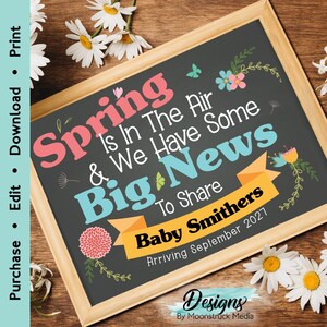 Anuncio de embarazo de primavera imprimible / Revelación de bebé de Pascua para redes sociales / Anuncio digital "Estamos esperando un bebé"