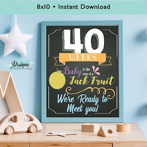 8x10 Pregnancy Week by Week Milestone Board | Baby Bump Photo Prop | Weekly Pregnancy Tracker | Instant Download Chalkboard Pregnancy Signs