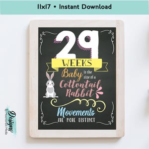 11x17 Animal Pregnancy Week-by-Week Sign | Fun and Adorable Baby Bump Tracker for Expecting Moms and Milestone Photos