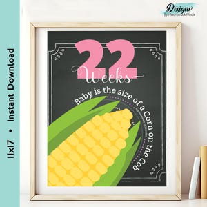 Schwangerschaft Meilenstein Zeichen 6 bis 40 Wochen | Baby-Größe Wochenposter | Tafeldesign Obst Tierobjekt Vergleich | Babybauch Foto Requisiten