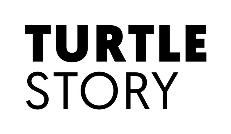 Turtle Story Absolu Premium Cellulose Acetate Turtle shell Handmade Hair Barette Nougat image 4