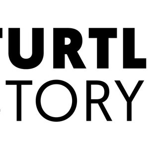 Night Blue Turtle Story Star Clips set of 2 Handmade from Italian Cellulose Acetate Tortoiseshell zdjęcie 5