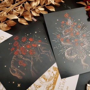 Cartes postales de la série Squelettes et fleurs