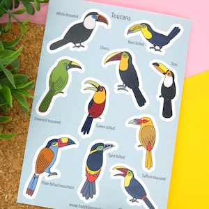 Feuille d'autocollants A6 Toucans. Stickers oiseau illustrés découpés en papier recyclé. 10 % reversés à la conservation de la faune.