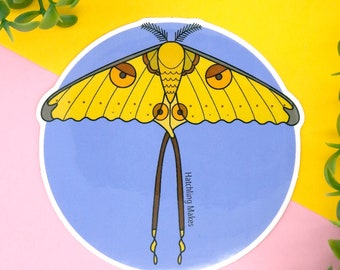 Comet moth die cut vinyl waterproof sticker. Madagascar moon moth laptop decal. 10% donated to wildlife conservation.