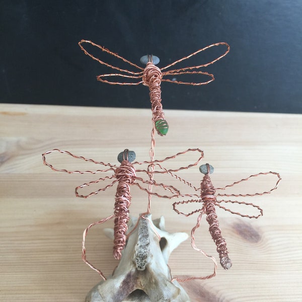 Copper Dragonfly on Bone, copper dragonflies, wire dragonfly, dragonfly sculpture, wire sculpture