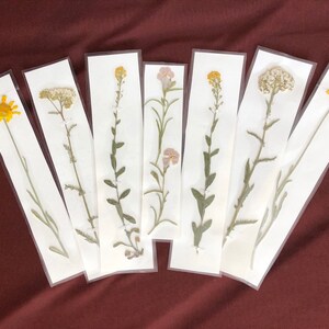 Plant bookmarks, flower bookmarks, flowers, pressed bookmarks