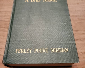 The House with a Bad Name Perley Poore Sheehan 1920 Vintage Hardcover Boni and Liverlight