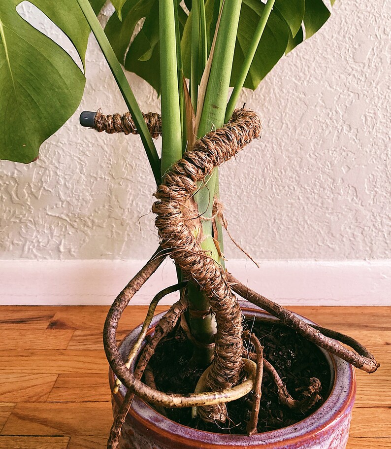 Curvy Jute Plant Pole Bendable Plant Stake Recycled Copper Etsy