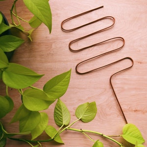 Squiggly plant stake, copper plant trellis, minimalist plant stake, minimal trellis, plant support, philodenderon, modern indoor plants