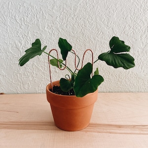 minimalist plant stake, mini plant trellis, abstract plant stake, recycled copper plant support, simple trellis, small plant support