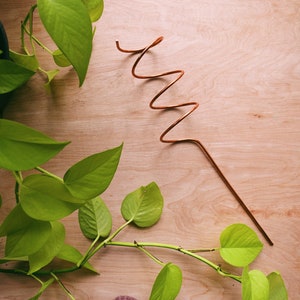 Tight corkscrew plant stake, copper plant trellis, minimalist plant stake, minimal trellis, simple trellis, boho home, indoor plants