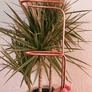 Hearty Indoor Plants - Etsy
