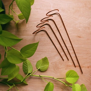 Set of minimalist plant support stakes, small plant support, recycled copper plant trellis, minimal trellis, boho home, indoor plants