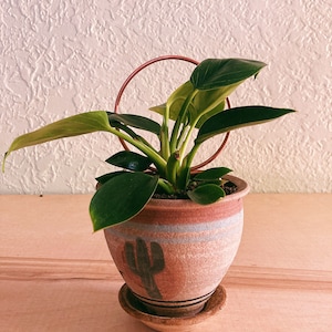 Mini circle plant trellis, copper plant stake, minimalist plant stake,minimal trellis,simple trellis, upcycled copper, indoor plants