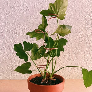 Abstract BUMP plant support, recycled copper trellis, minimalist plant stake, simple trellis, indoor plants, small plant support, upcycled