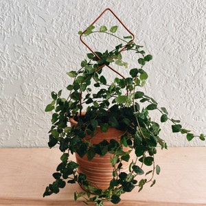 Abstract plant stake, copper plant trellis, minimalist plant stake,simple trellis, upcycled copper, diamond plant stake, indoor plants