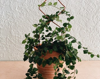 Abstract indoor plant stake, upcycled copper plant support