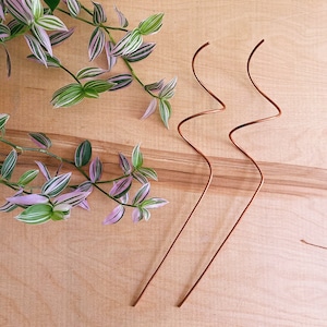Loose corkscrew plant stake set, recycled copper plant trellis, minimalist plant stake, minimal trellis, simple trellis, boho, indoor plants