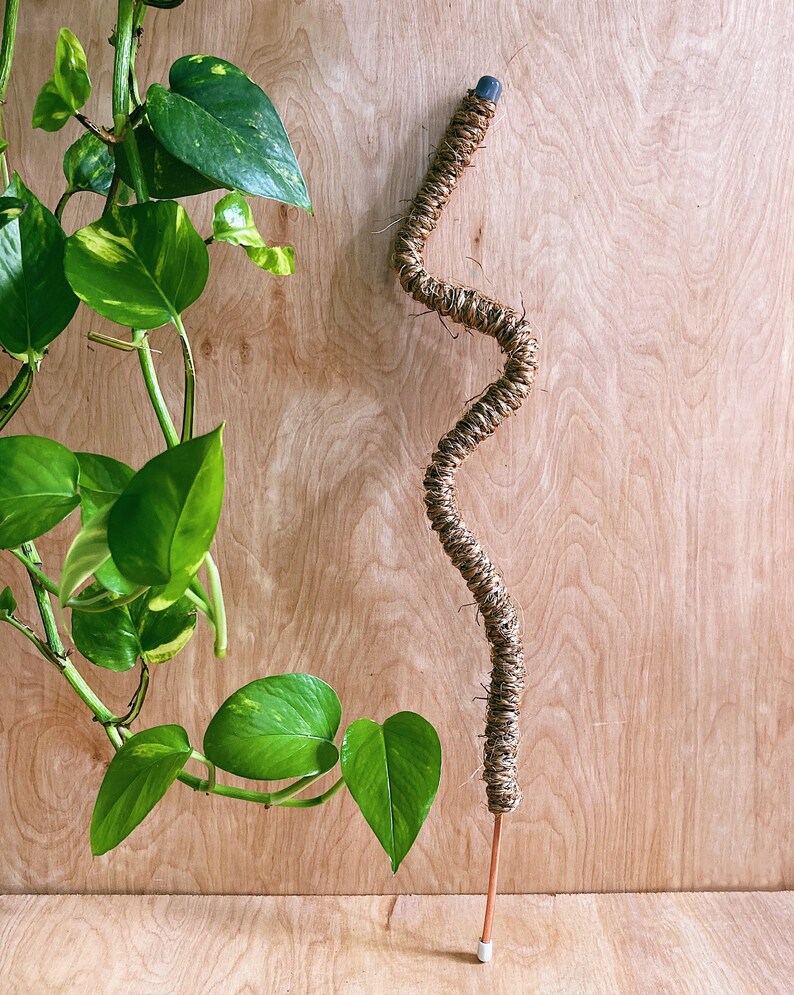 Curvy Jute Plant Pole Bendable Plant Stake Recycled Copper Etsy