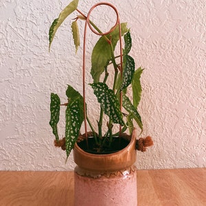 Minimalist High Moon plant support, copper plant trellis, abstract plant stake, simple trellis, indoor plants, small plant support stake