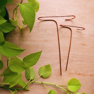 Set of minimalist plant support stakes, recycled copper plant trellis, minimal trellis,simple trellis, indoor plants, small plant support