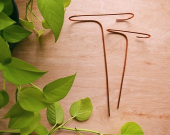Set of minimalist indoor plant stakes, recycled copper plant support