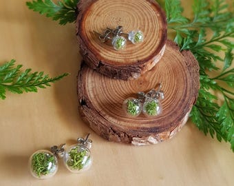 Moss Terrarium Stud Earrings, Botanical Jewelry, Nature Lover Gift