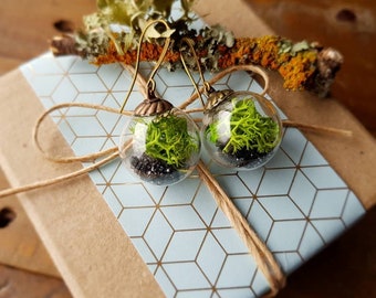 Terrarium Bead Earrings Large