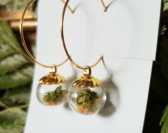 Tiny Terrarium Hoop Earrings, Reindeer Moss, Gold Tone