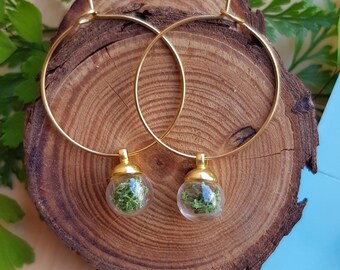 Tiny Moss Terrarium Earrings, Gold Hoop, Botanical Jewelry
