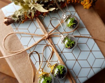Terrarium Bead Earrings in Silver or Gold