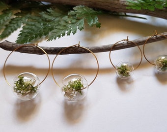 Glass Terrarium Moss Earrings, Gold Hoop Nature Jewelry