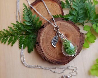 Terrarium Pear Necklace/ planty botanical gardener gift, indoor plant, moss, foliage, nature lover