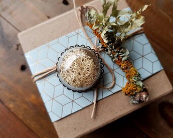 Terrarium Brooch