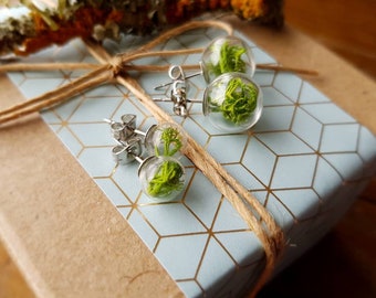 Terrarium Pearl Studs