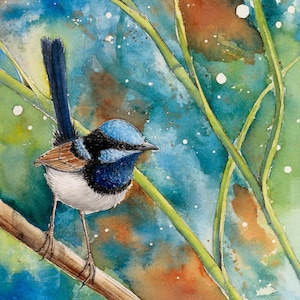 Superb Fairy-wren || Fine Art Print of Original Watercolour Painting by Rebecca Phillips, Bird Print, Blue Wren, Archival, Giclée, Australia