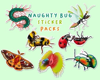 Naughty Bugs Sticker Pack- Centipedes, Praying Mantis, Bees, Beetles, & Moths - Waterproof/UV Resistant Vinyl