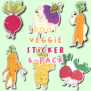 Root Veggie Sticker Pack- Carrot, Beet, Radish, Ginger, Rutabaga- Waterproof/UV Resistant Vinyl