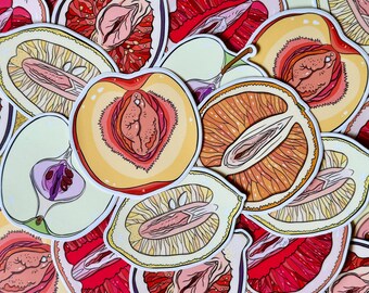 Vulva Fruit Stickers - Fruit Vagina Series - Waterproof/UV Resistant Vinyl