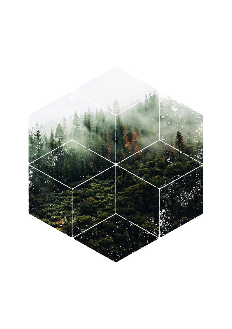 May include: A digitally manipulated image of a forest scene, presented in a geometric cube shape. The forest is a vibrant green with tall trees and a misty atmosphere. The cube is outlined in white, creating a modern art aesthetic.