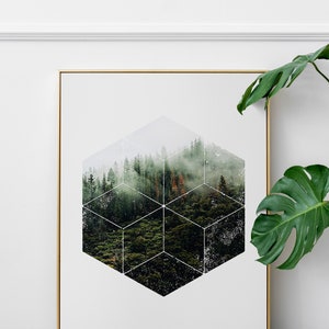 May include: Art print in a gold frame, depicting a forest landscape within a geometric honeycomb pattern. The image shows a green forest with a misty effect. A large green leaf is visible in the corner, adding a natural touch.