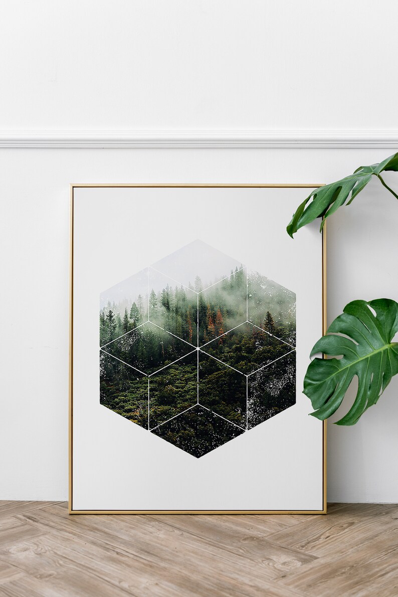 May include: Art print in a gold frame, depicting a forest landscape within a geometric honeycomb pattern. The image shows a green forest with a misty effect. A large green leaf is visible in the corner, adding a natural touch.