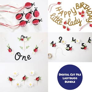 Pacchetto Ladybug & Daisy, decorazioni per feste di compleanno per bambine, fiori fustellati per il 1° compleanno, file di taglio SVG Silhouette Cricut Download digitale