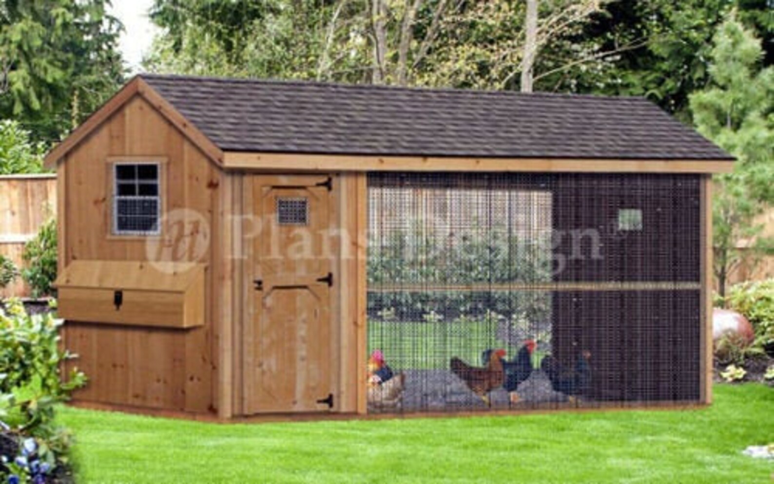 Large Chicken / Duck Coop Plans 6 by 12 Gable / Aframe Roof Style