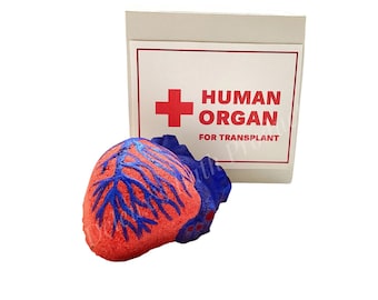 Heart Bath Bomb. Anatomical Heart Bath Bomb Gift Box. Halloween Bath Bomb. Halloween Gift. Bloody Heart Bath Bomb. Scary Bath. Organ Donor