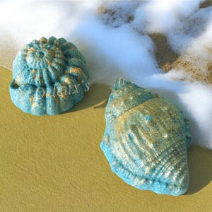 Shell Bath Bombs. Sea Shell Bath Bombs. Wedding Favors. Party Favors. Ocean Themed Bath Bomb. Sea Themed Bath Bomb. Mermaid Themed Party.