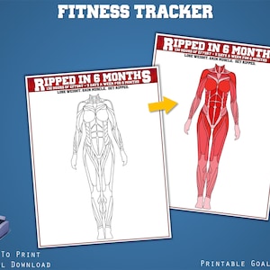 Seguimiento de objetivos de fitness imprimible: seguimiento de entrenamiento, tabla de músculos para colorear, seguimiento de motivación, tamaños de papel Carta, A4 y A5.