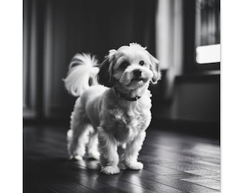 Cavapoo huisdier portret - kunst aan de muur canvas