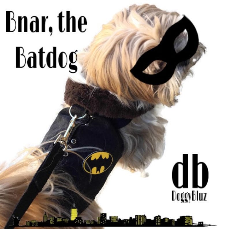 batman dog clothes